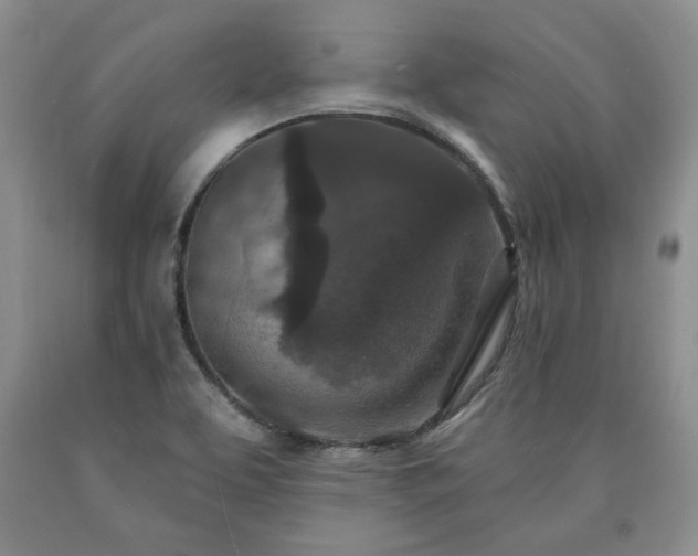 X0000090441463200707201243