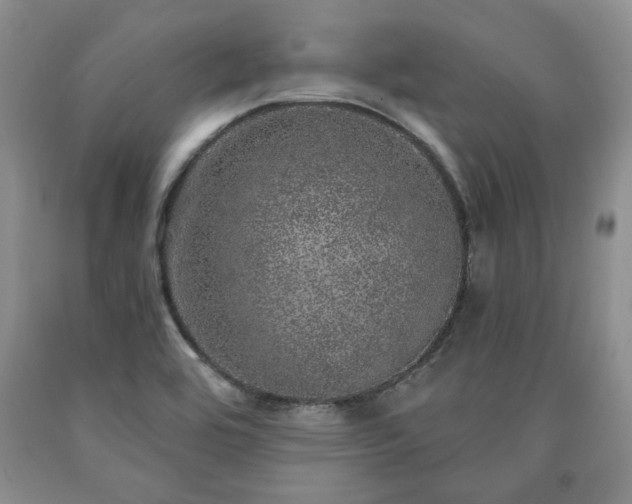 X0000090441464200707201243