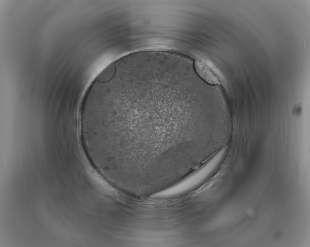 X0000090441467200707201243