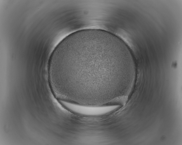 X0000090441468200707201243