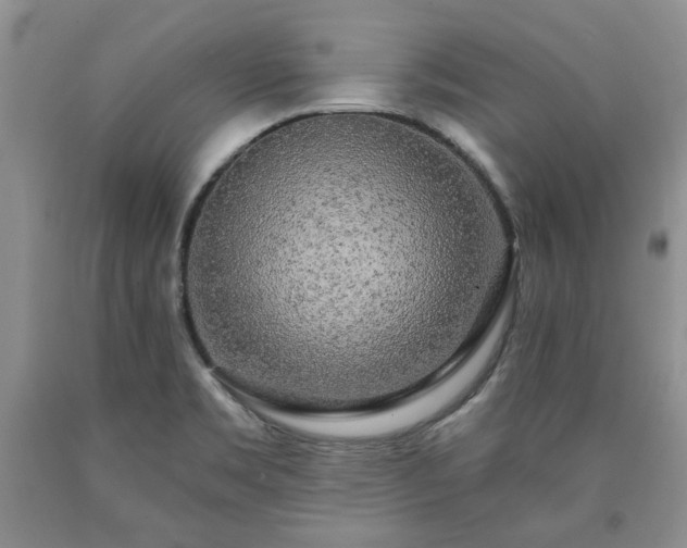 X0000090441469200707201243