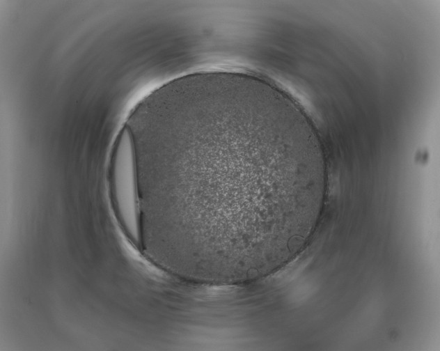 X0000090441471200707201243