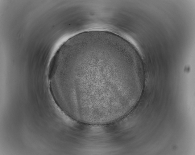 X0000090441472200707201243