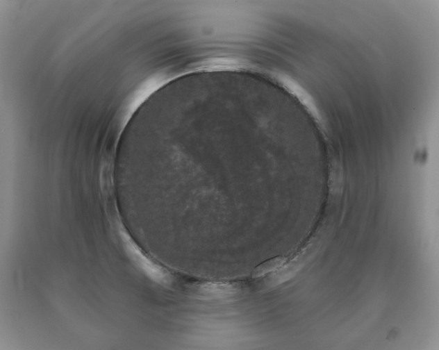 X0000090441473200707201243