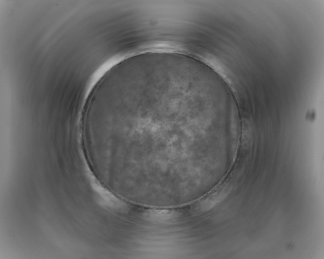 X0000090441474200707201243