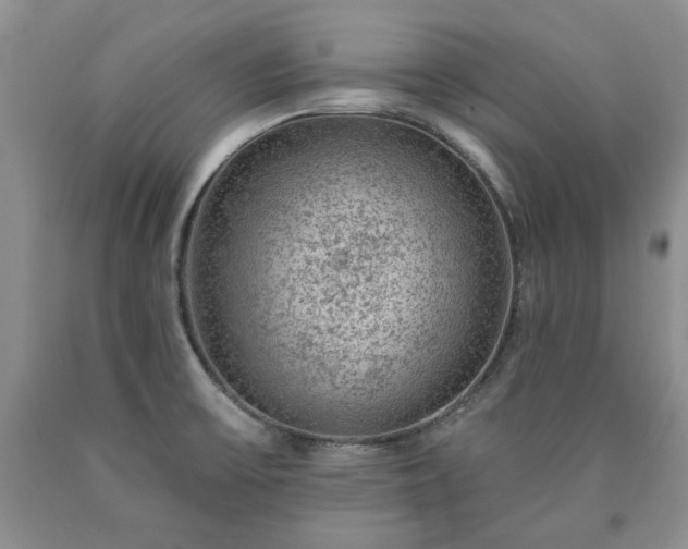 X0000090441475200707201243