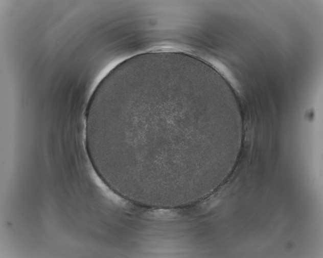 X0000090441476200707201243