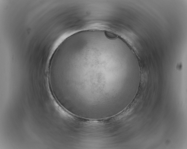 X0000090441478200707201243