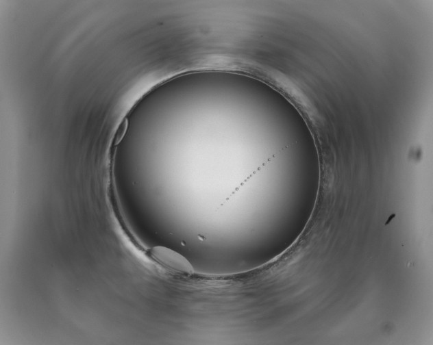 X0000090441479200707201243