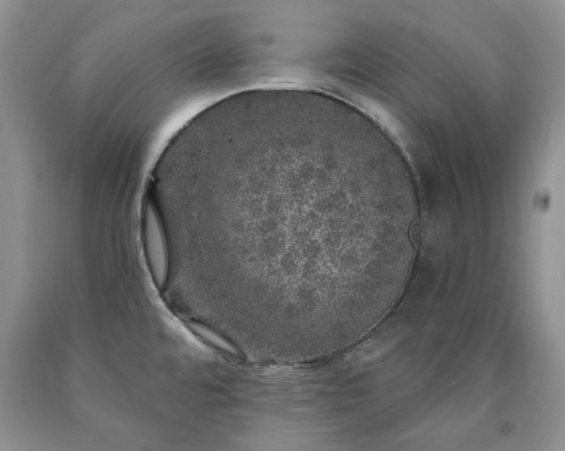 X0000090441480200707201243