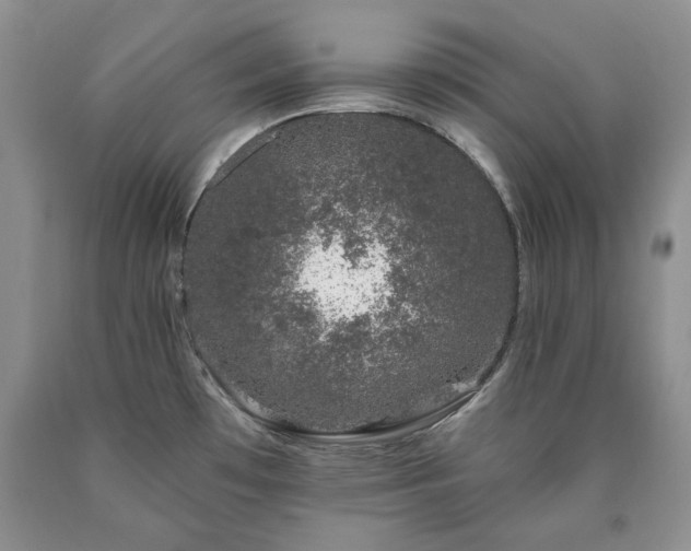 X0000090441481200707201243