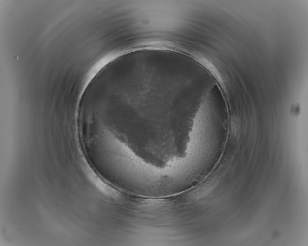 X0000090441482200707201243