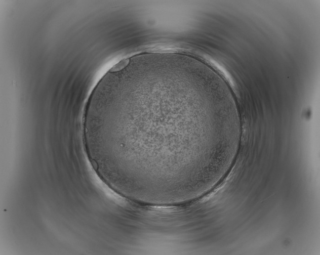 X0000090441483200707201243