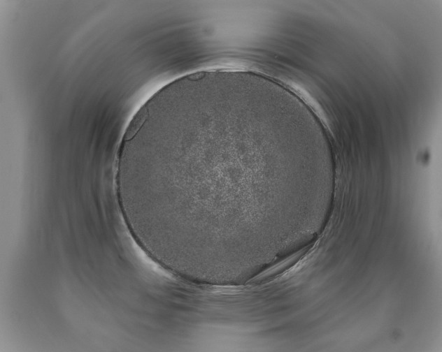 X0000090441484200707201243