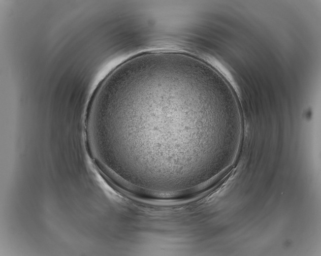 X0000090441485200707201243