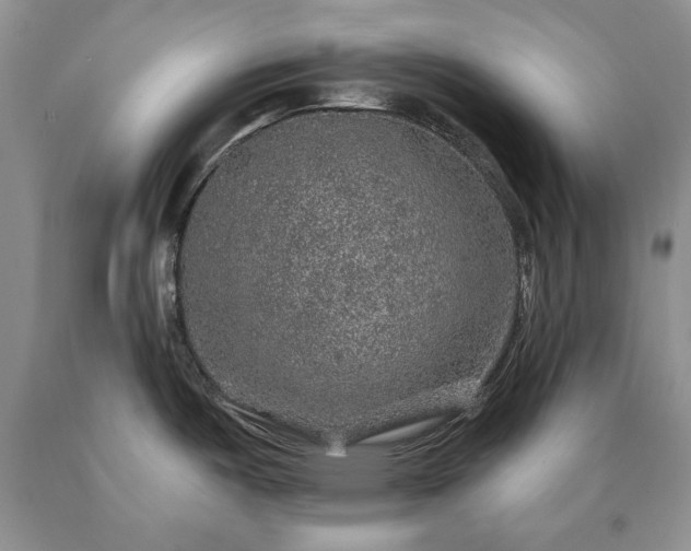 X0000090441487200707201243