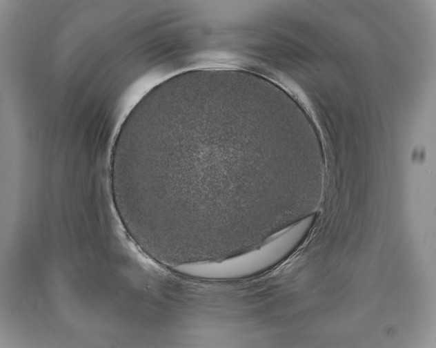 X0000090441488200707201243