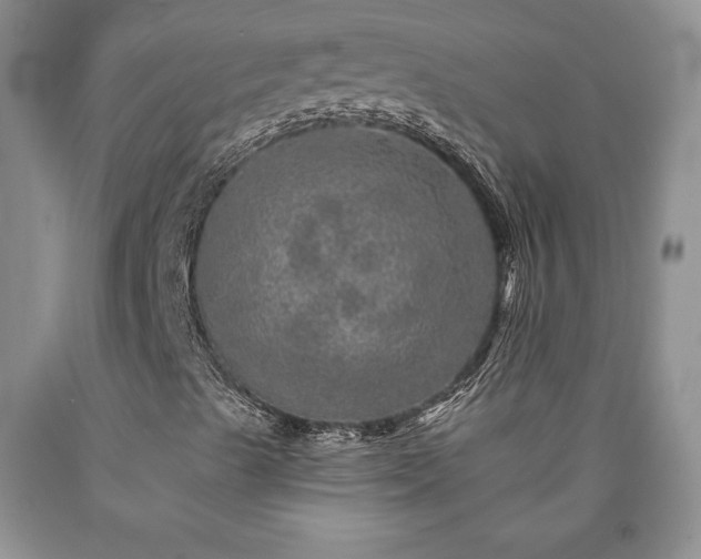 X0000090441489200707201242