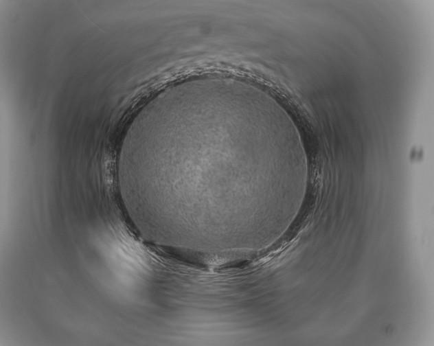 X0000090441490200707201242