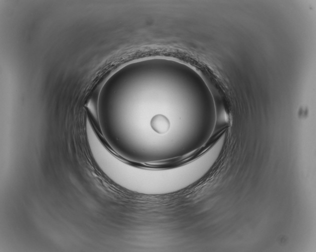 X0000090441492200707201242