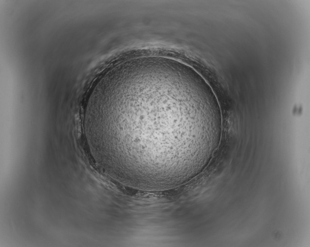 X0000090441493200707201242