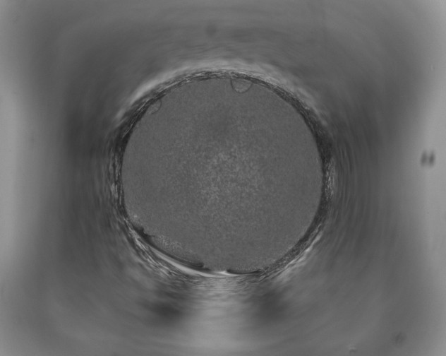 X0000090441494200707201242