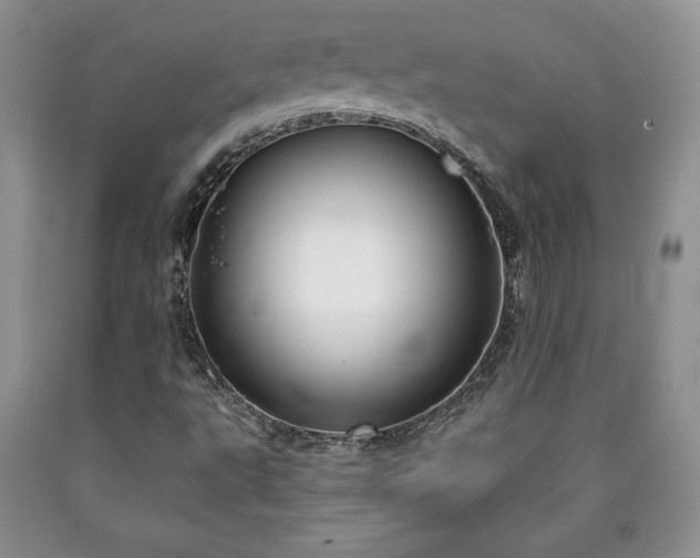 X0000090441495200707201242