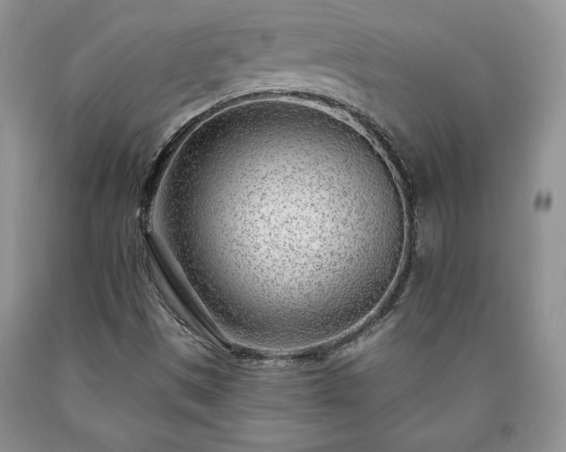 X0000090441497200707201242