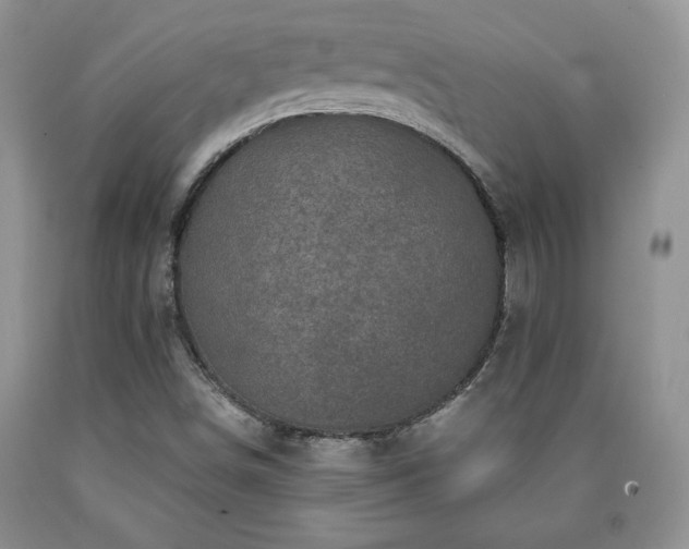 X0000090441498200707201242