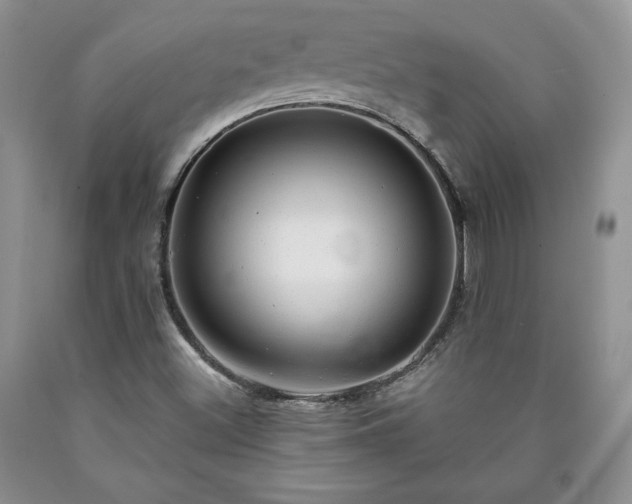 X0000090441500200707201242