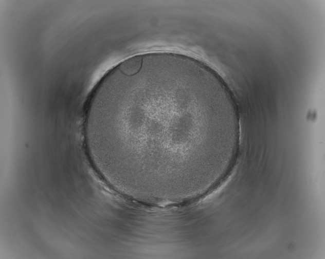 X0000090441501200707201242