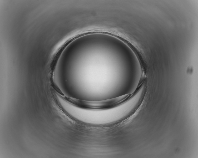 X0000090441502200707201242