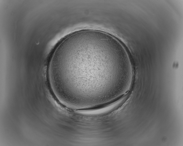 X0000090441503200707201242