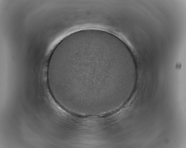 X0000090441504200707201242