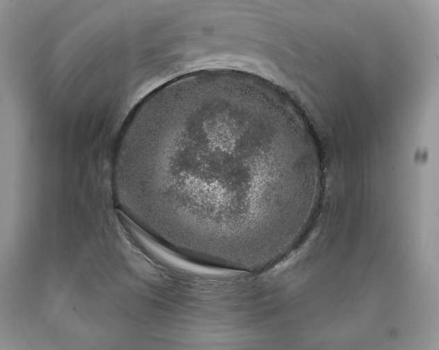 X0000090441505200707201243