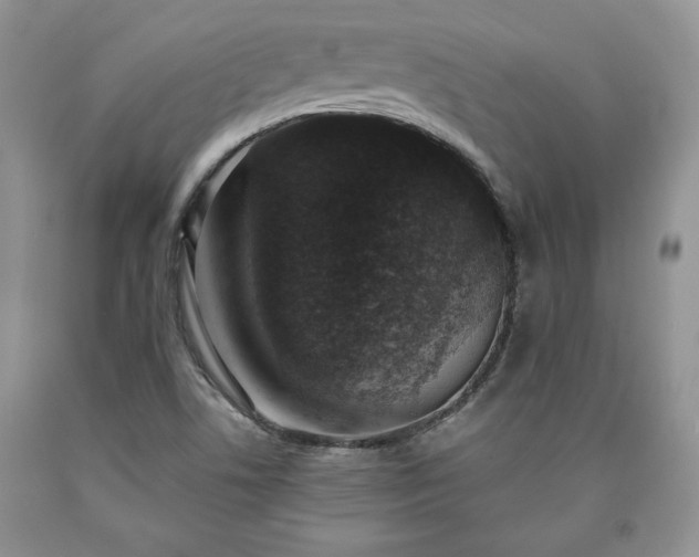 X0000090441506200707201243