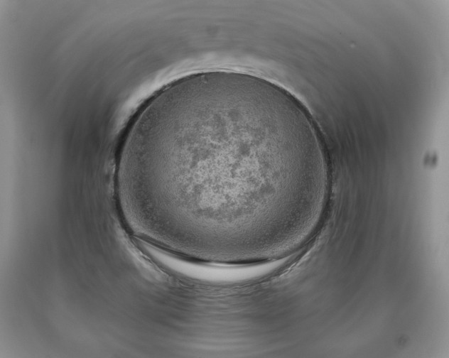 X0000090441507200707201243