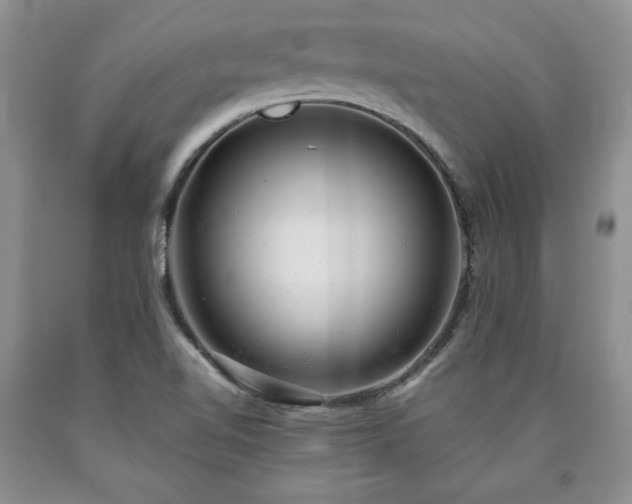 X0000090441510200707201243