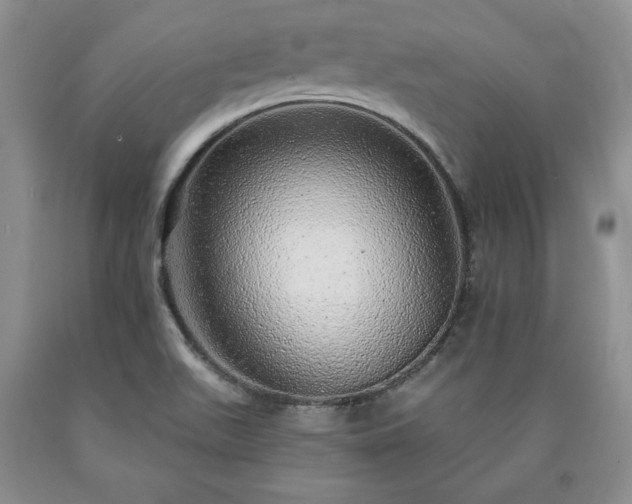 X0000090441511200707201243