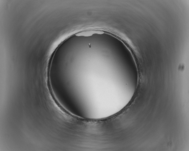 X0000090441512200707201243