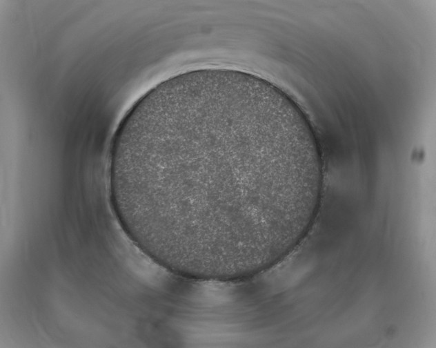 X0000090441514200707201243