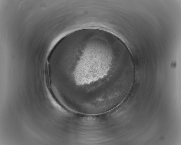 X0000090441515200707201243