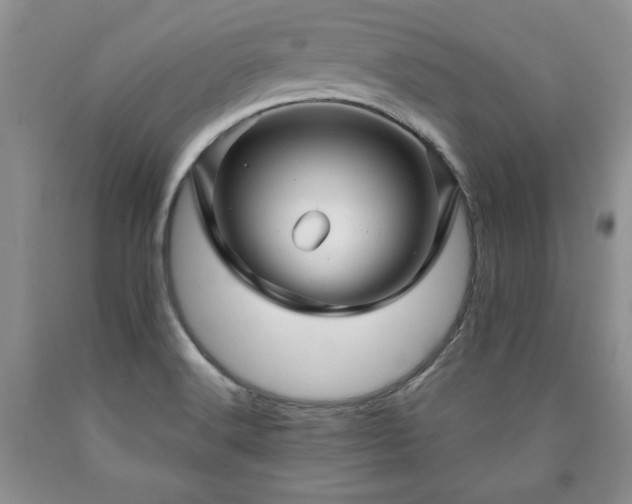 X0000090441516200707201243