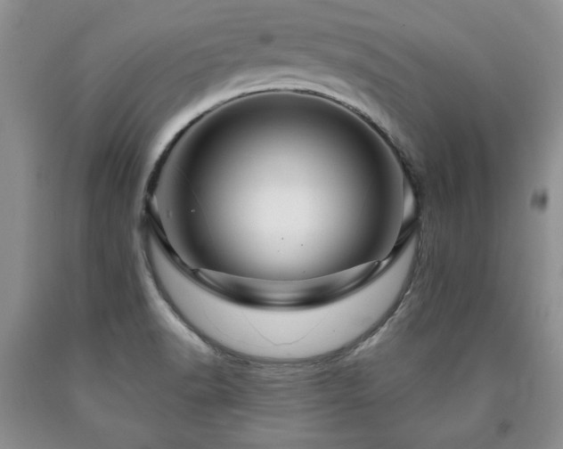 X0000090441518200707201243