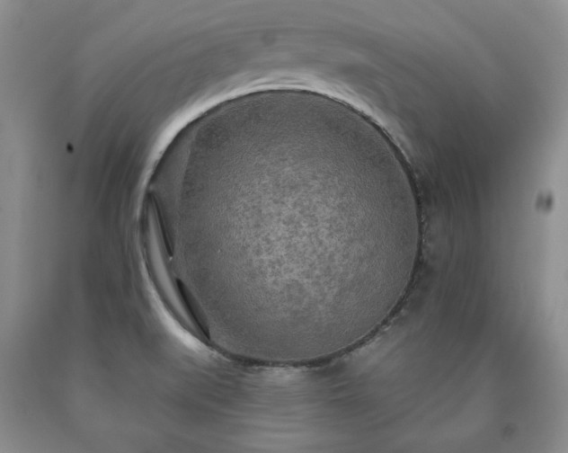 X0000090441519200707201243