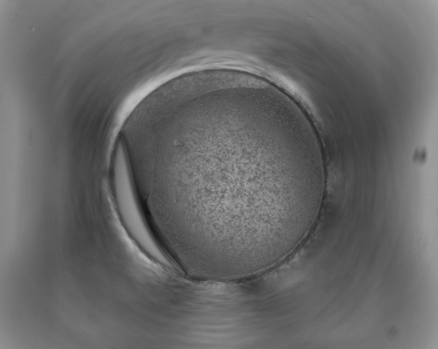 X0000090441520200707201243