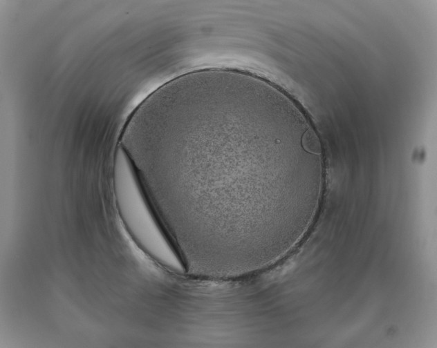 X0000090441521200707201243