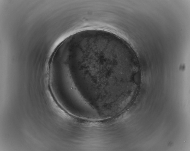 X0000090441522200707201243