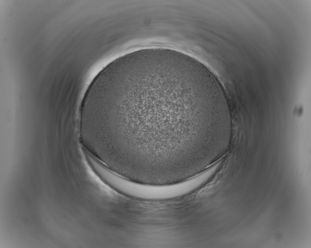 X0000090441527200707201243