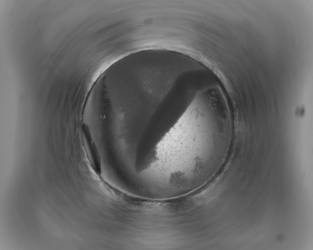 X0000090441529200707201243